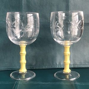 Acrylic Wine Glasses Tropical Themed Set of 2